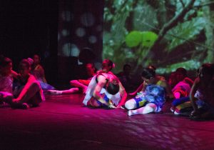 projecte-brasil-espectacle-terra-2